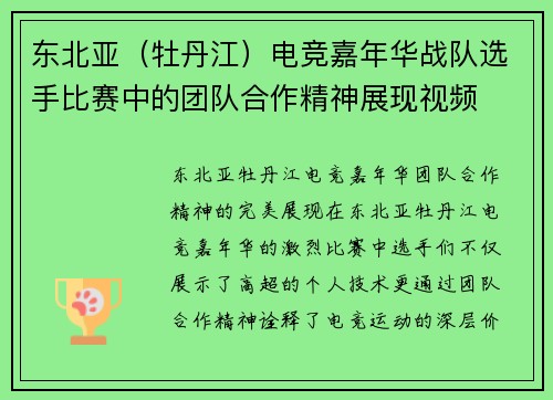 东北亚（牡丹江）电竞嘉年华战队选手比赛中的团队合作精神展现视频